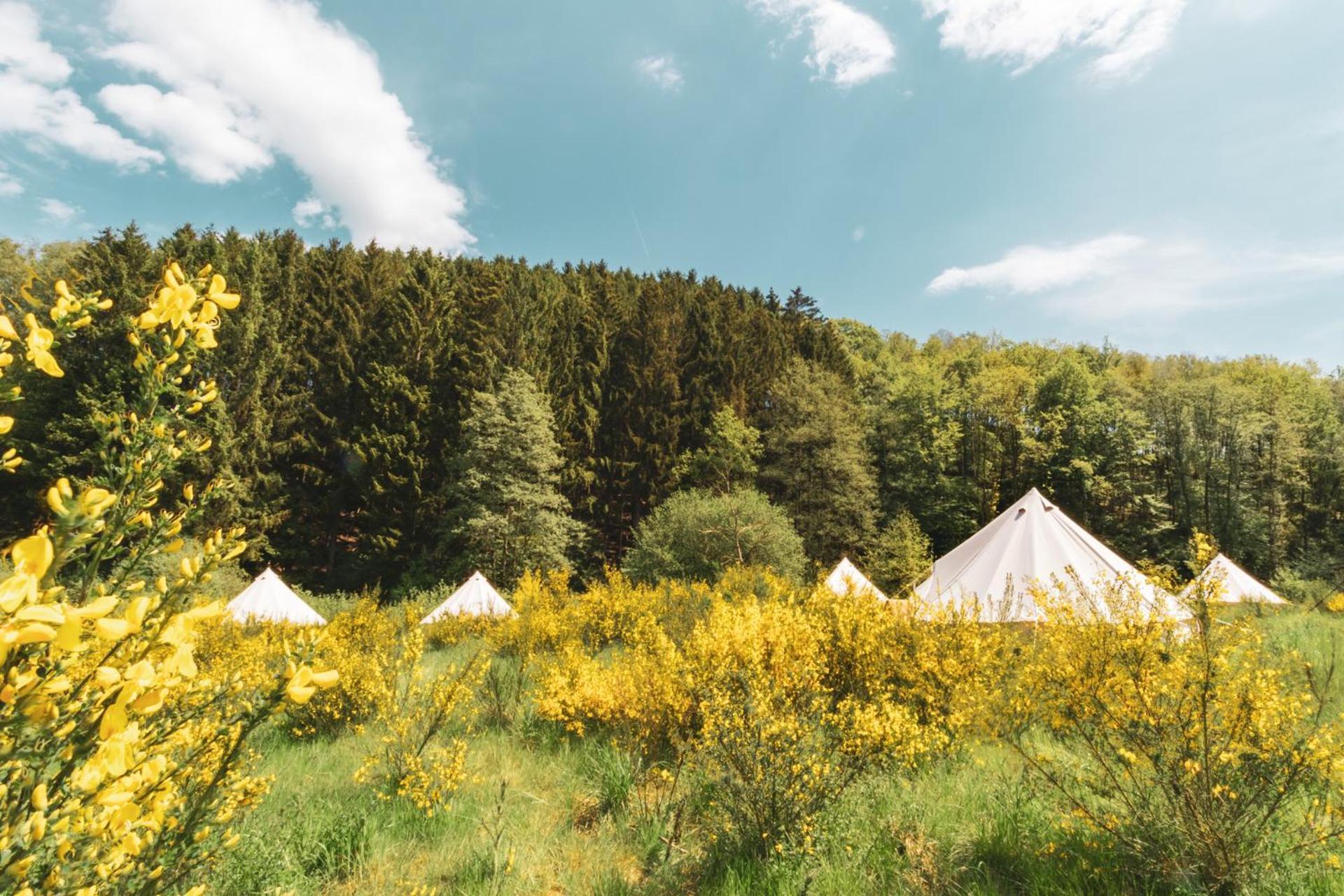 Daft Hotel & Glamping مالميدي المظهر الخارجي الصورة
